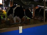 51e Salon de l'agriculture: ce qu'il faut savoir sur ce rendez-vous - 22/02