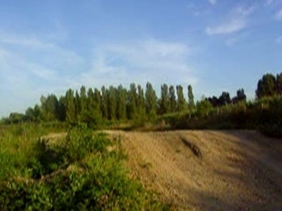 dirt