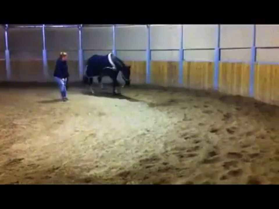 extensions d'encolure decembre2013-FLUVORE