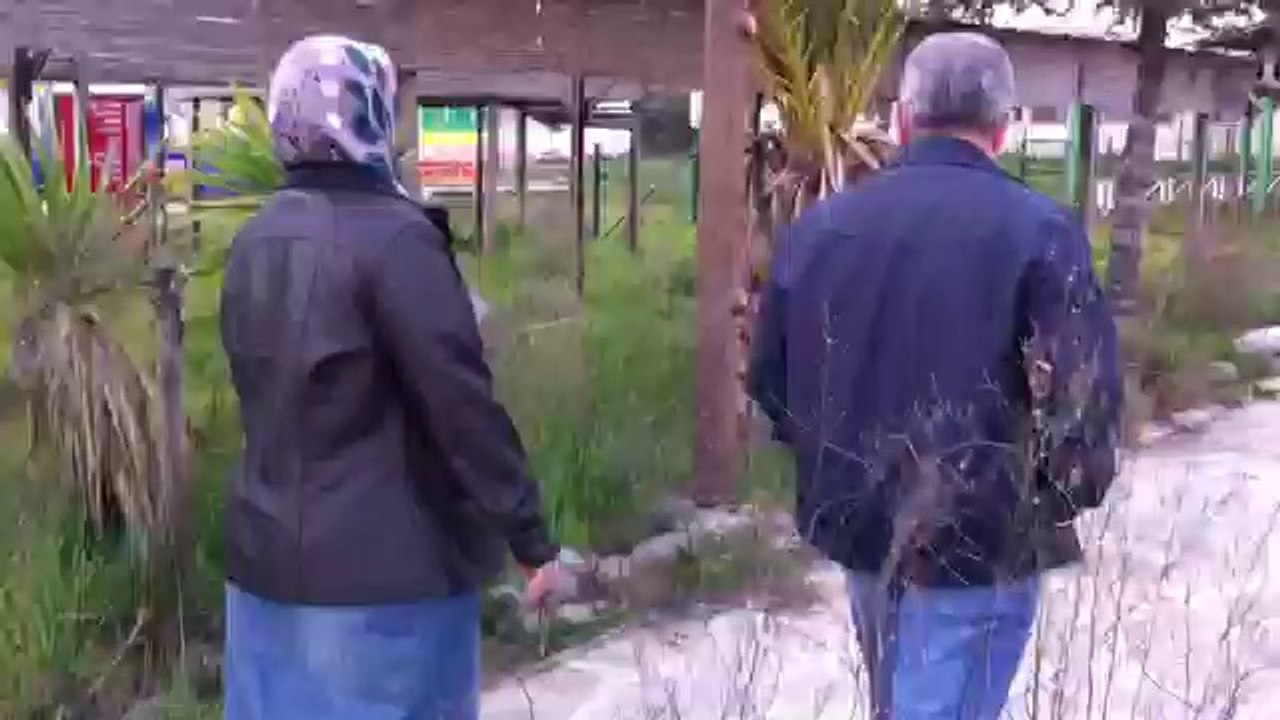 Kaynaklar