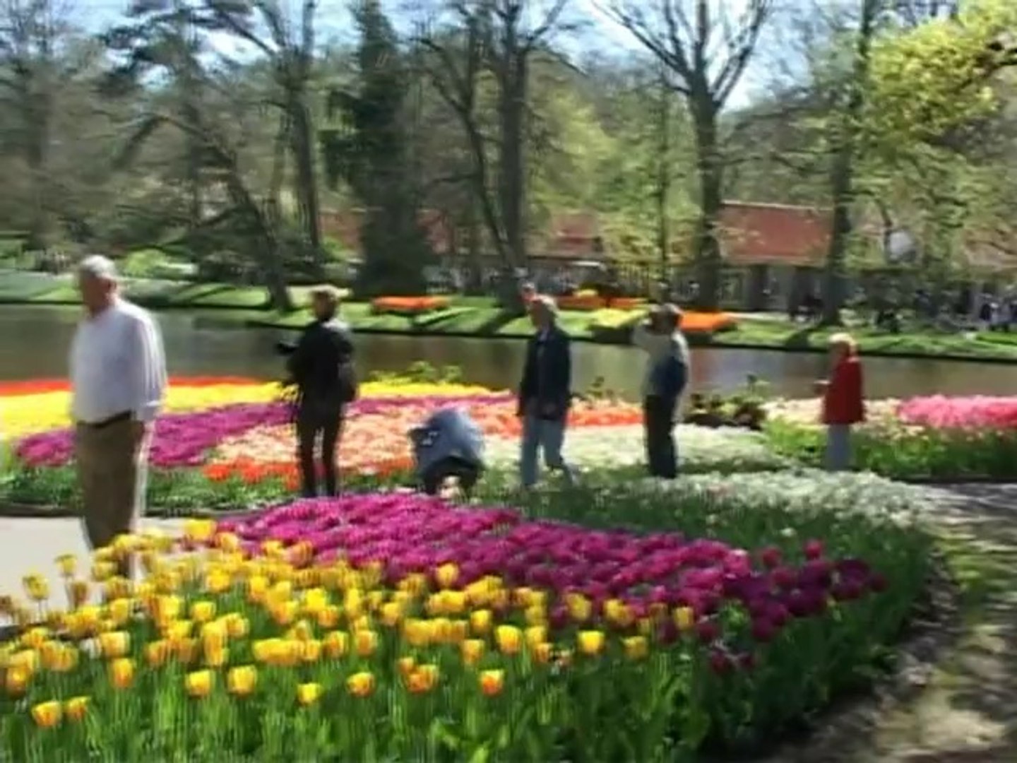 Экскурсии, туры, путешествия в Амстердам! CliP Reisebüro! www.clip-touristic.com
