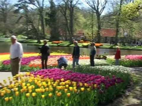 Экскурсии, туры, путешествия в Амстердам! CliP Reisebüro! clip-touristic.com