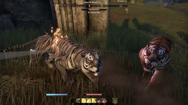 The Elder Scrolls Online video is all about crafting