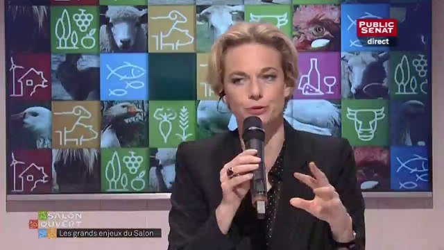 Le Salon de tous les défis ! - Evénements