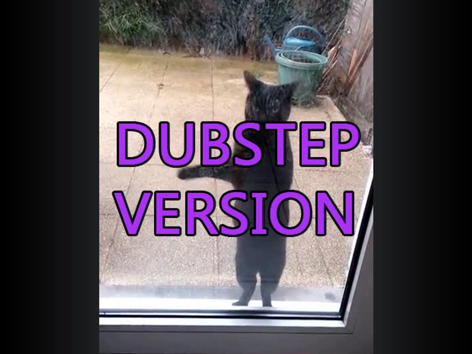 Le chat veut entrer (Dubstep Version)