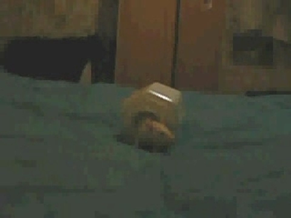 rats3