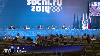 Russia deputy PM hails Sochi security arrangement