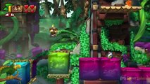 Soluce Donkey Kong Country Tropical Freeze : le niveau 5-5 à 100 % (lettres, pièces de puzzle, secrets)