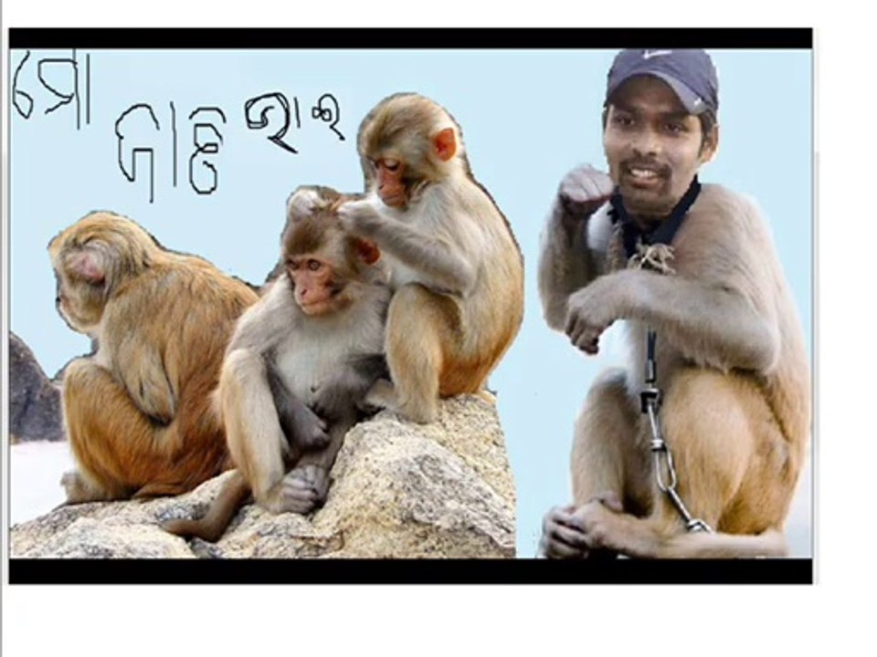 natraj behera orissa ranji cricketer (3)