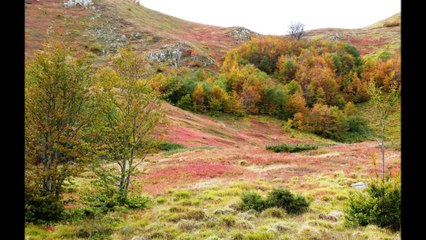 Dalle Alpi agli Appennini