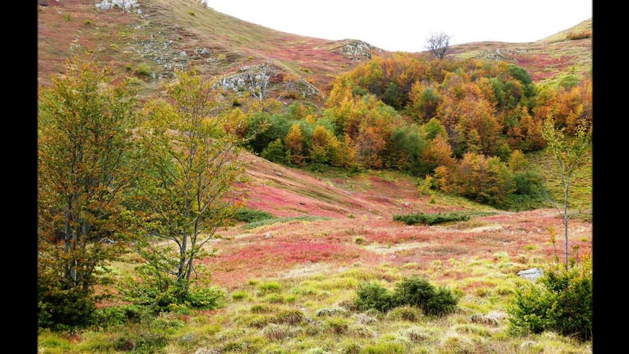 Dalle Alpi agli Appennini