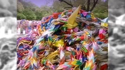 NHK ~ Begin Japanology ~ Origami ~