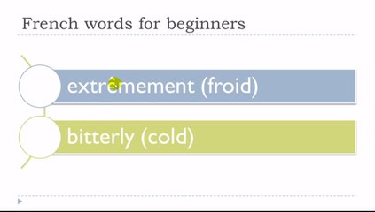 Learn French # 111 minutes to discover 600 words for beginners