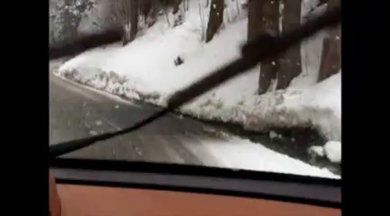 neige