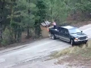 save life 3 Tiny Black Bears..