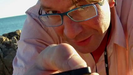 ZECOUILLON C.SOUMILLON