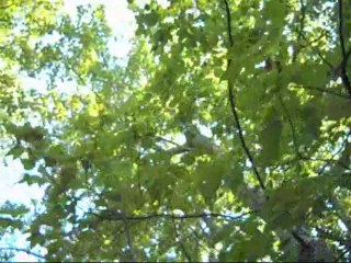 Joe Frawley...I Have a Hard Time Talking About The House