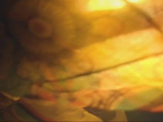 Joe Frawley...Faded Flowers