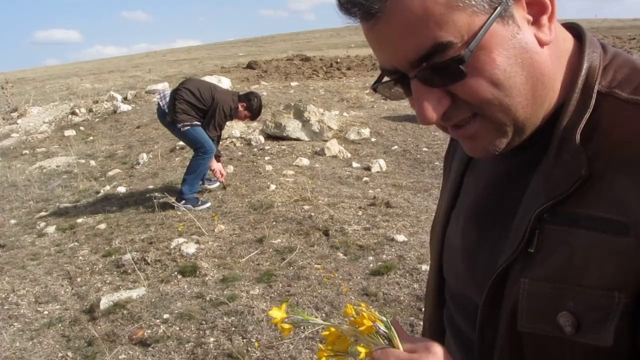 CAFERLİ KÖYÜ KARAKAYA'DA SULENKE OYUNU