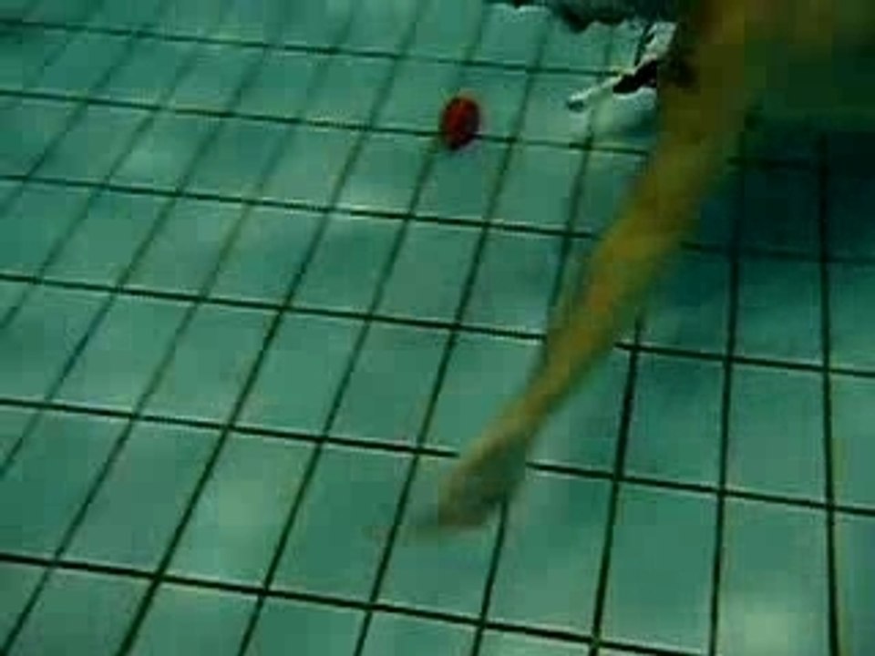 Geste technique hockey subaquatique