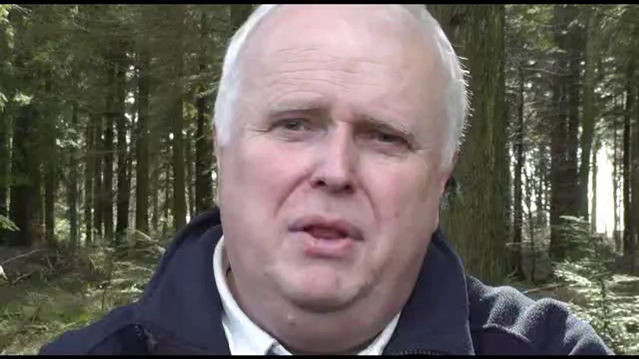 Creeping Rot and BBC Propaganda