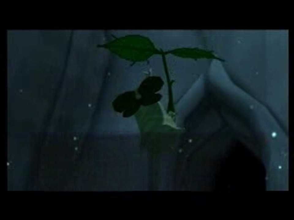 Scenes - Wind Waker