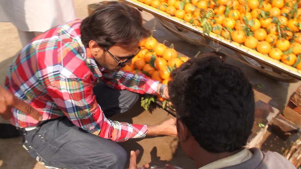 Kinno selling point on Multan Road way towards Lahore 17 Feb 2014 Pakistan