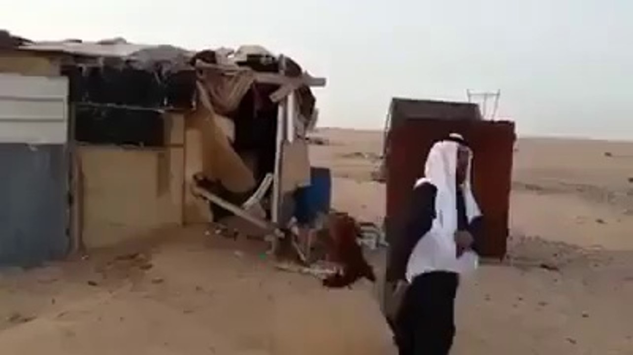 ئه‌م عه‌ره‌به که‌س نه‌ما شه‌ڕی پێبفڕۆشێ ته‌نها ئه‌م که‌ڵه‌شێره
