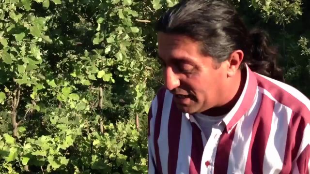 abo kanon zaxo 2013 _))) ( 3 )