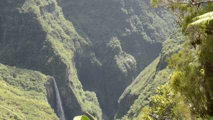 _DSC3163 Ile de la Réunion, Bélouve Trou de Fer, passage d'hélicoptère