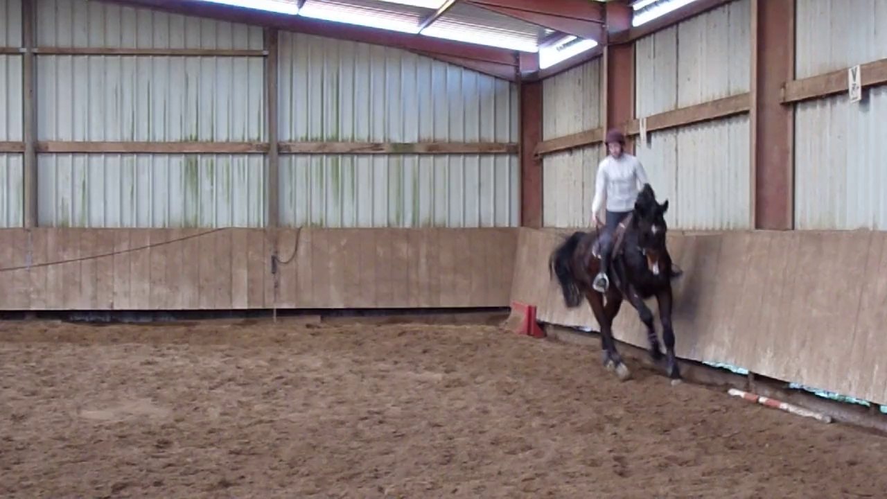 Cyclope galop 1