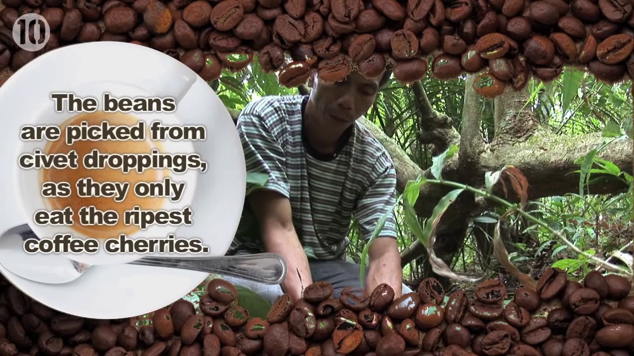 10 Curious Facts About Coffee