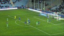 But BRANDAO (33ème) - SC Bastia - AS Saint-Etienne - (0-2) - 22/02/14 - (SCB-ASSE)