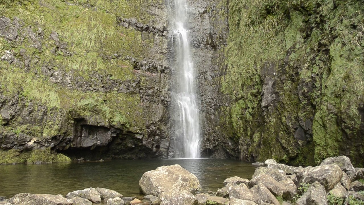 _DSC5659 Ile de la Réunion, Plaines des Palmistes, cascade Biberon
