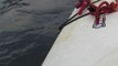 Remarkable Up-Close Footage of Orca Whales