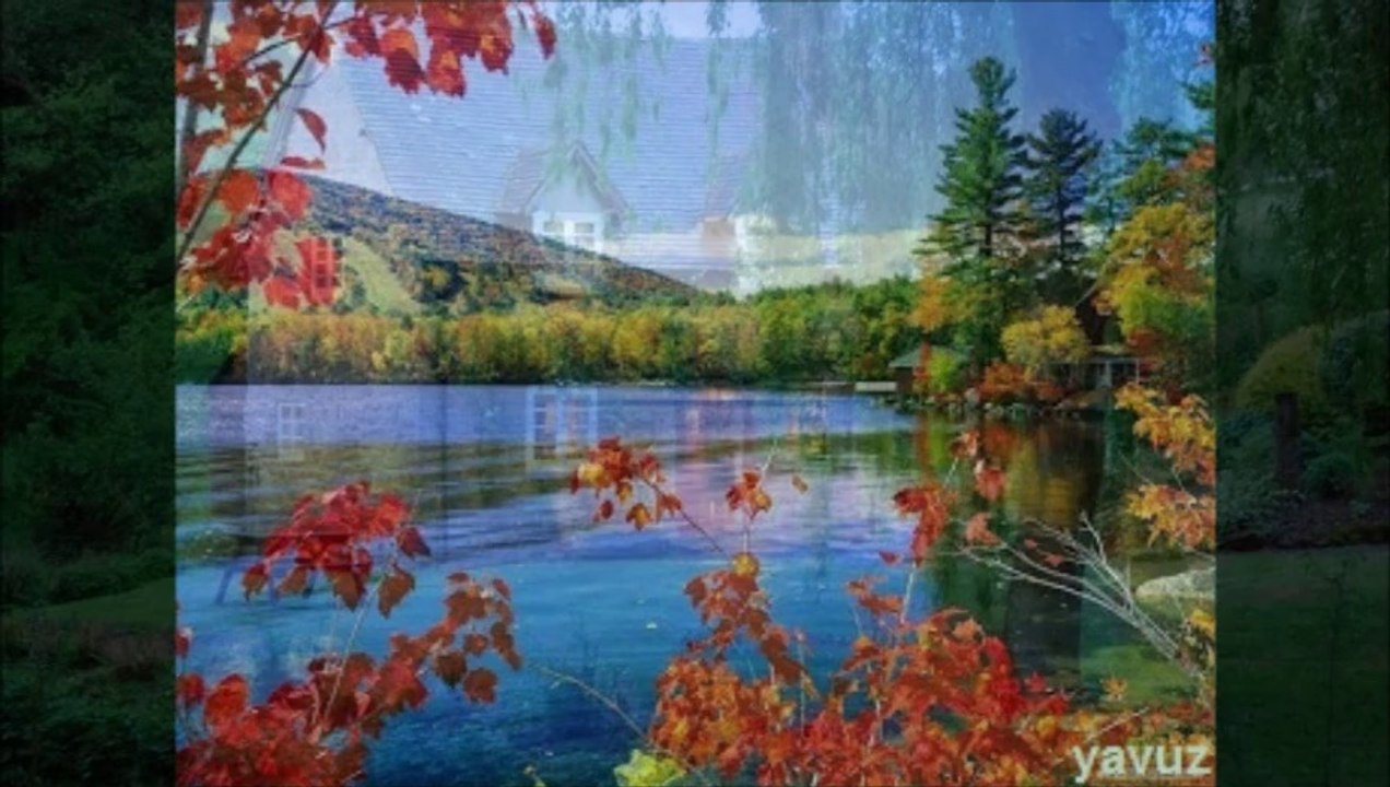 GÖNÜL YAZAR-O AĞACIN ALTI