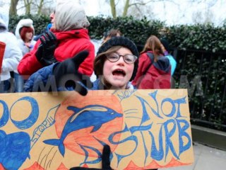 Stop au massacre des dauphins et à la capture #tweet4taiji