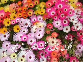 Urdu Poetry - Suno Ay Chand Si Larki - aliimranurs