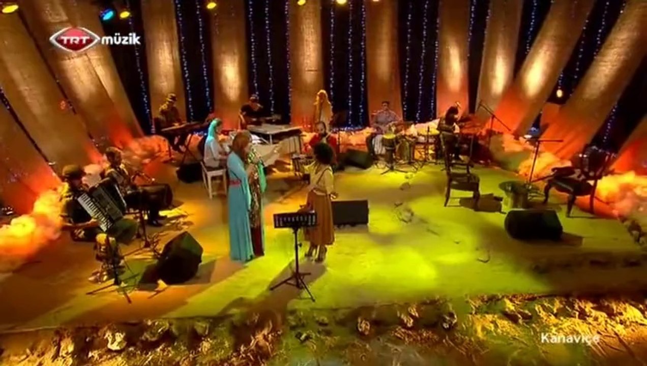 07 özlem taner mircan kaya dut ağacı boyunca 18.02.2014 kanaviçe