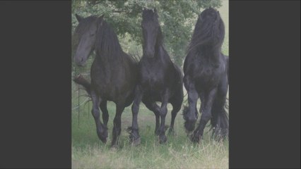 once an outlaw colorized