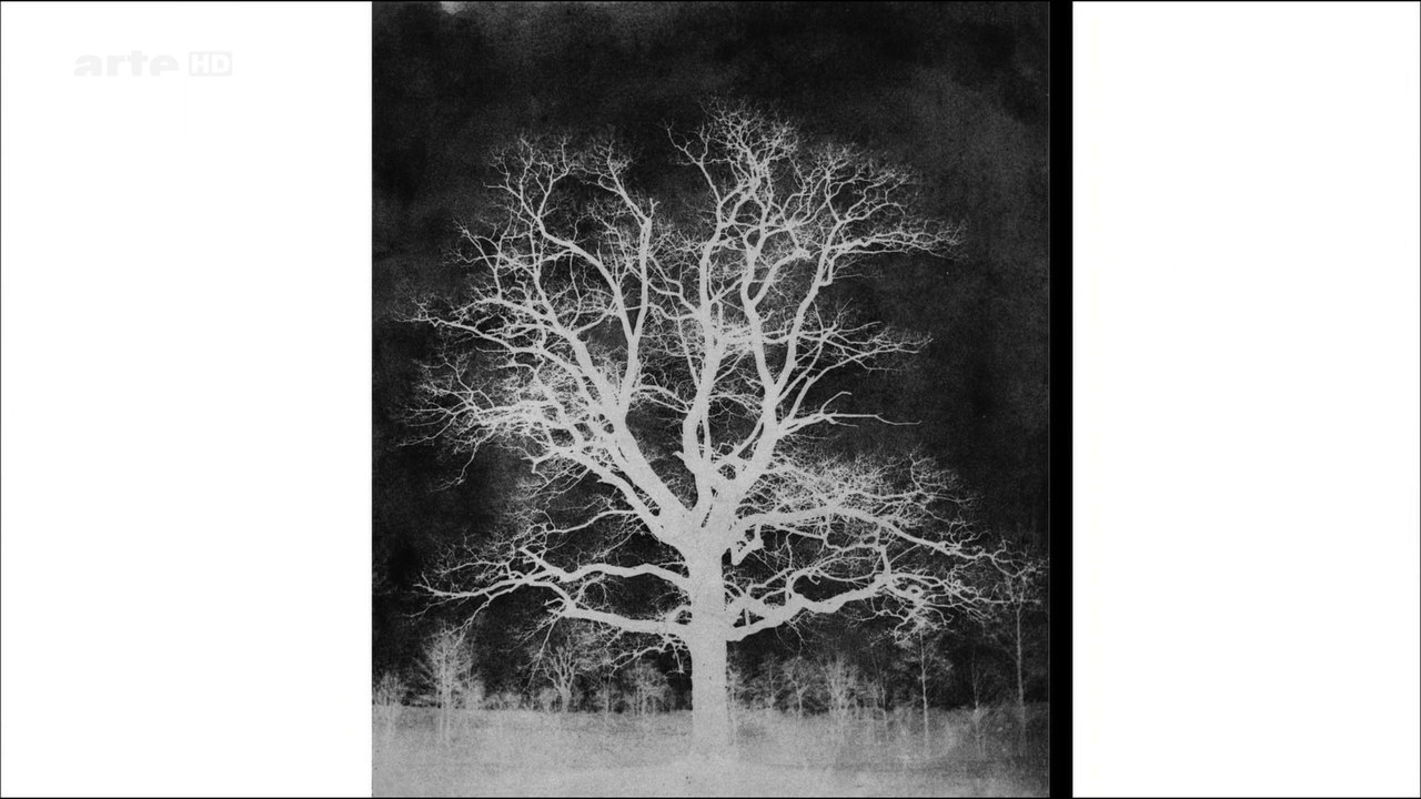 Photographie du 19 janvier 2014 (1ère partie)