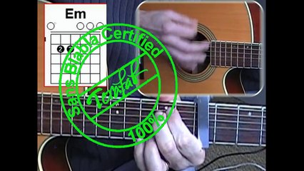 Wake me up - Avicii [Tuto guitare HD] by Terafab