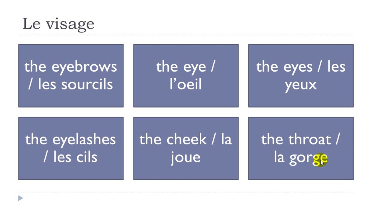 Learn French # Lesson # The human body