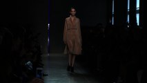 Style.com Fashion Shows - Bottega Veneta Fall 2014 Ready-to-Wear