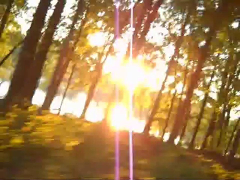 Zero-Project...Autumn Prelude