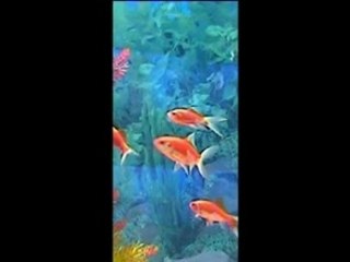 Spectacle Palindrome