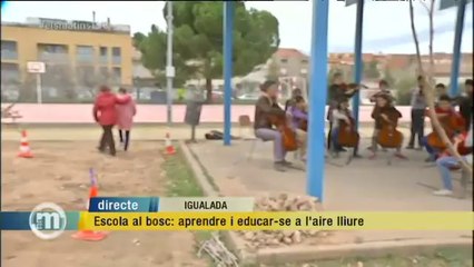 TV3 - Els Matins - Escola al bosc: aprendre i educar-se a l'aire lliure