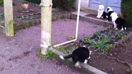 Séance de bruitage en extérieur pour les bébés.