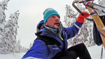 Laponie - Kiitos 2014