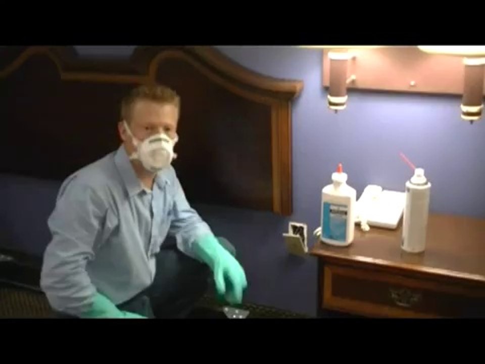 ePest Solutions: Bed Bug Treatment (Outlets)